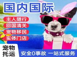 西昌青山空运公司国际宠物托运 【国